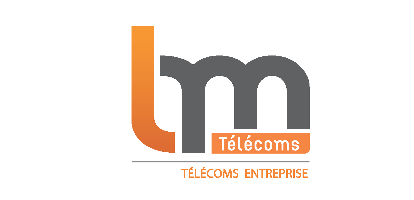 LM TELECOMS